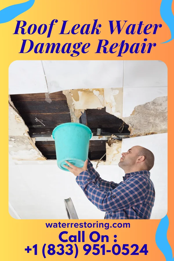 Roof Leak Water Damage Repair in Grosse Tete, LA